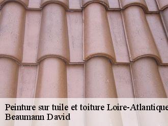 Peinture sur tuile et toiture 44 Loire-Atlantique Beaumann David