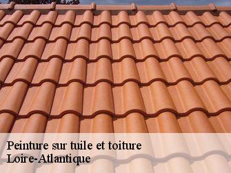 Peinture sur tuile et toiture Loire-Atlantique 