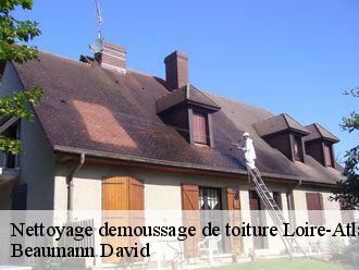 Nettoyage demoussage de toiture 44 Loire-Atlantique Beaumann David