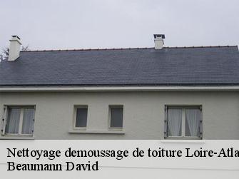 Nettoyage demoussage de toiture Loire-Atlantique 