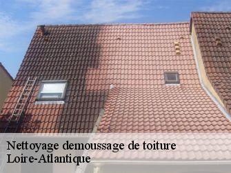 Nettoyage demoussage de toiture