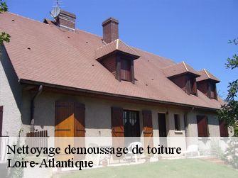 Nettoyage demoussage de toiture Loire-Atlantique