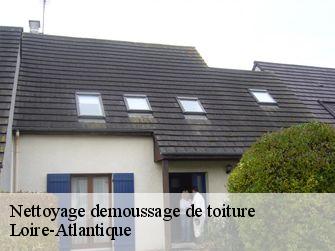 Nettoyage demoussage de toiture Loire-Atlantique
