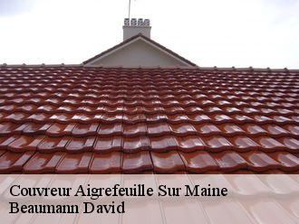 Couvreur  aigrefeuille-sur-maine-44140 Beaumann David