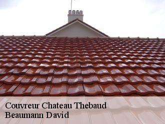 Couvreur chateau-thebaud-44690 Beaumann David