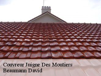 Couvreur  juigne-des-moutiers-44670 Beaumann David