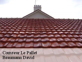 Couvreur  le-pallet-44330 Beaumann David