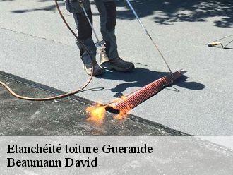 Etanchéité toiture guerande-44350 Beaumann David