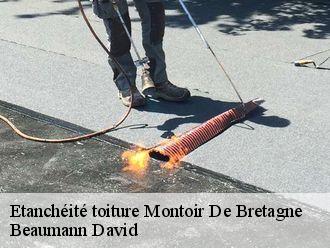 Etanchéité toiture montoir-de-bretagne-44550 Beaumann David