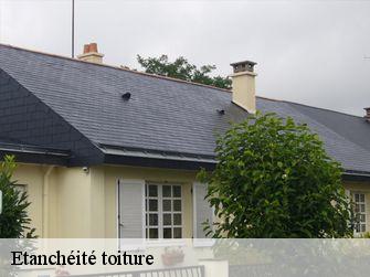 Etanchéité toiture 44390