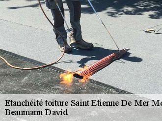 Etanchéité toiture  saint-etienne-de-mer-morte-44270 Beaumann David