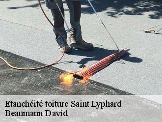 Etanchéité toiture saint-lyphard-44410 Beaumann David