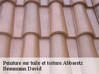 Peinture sur tuile et toiture  abbaretz-44170 Beaumann David