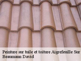 Peinture sur tuile et toiture  aigrefeuille-sur-maine-44140 Beaumann David