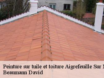 Peinture sur tuile et toiture 44140