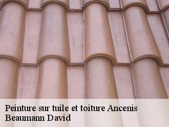 Peinture sur tuile et toiture  ancenis-44150 Beaumann David