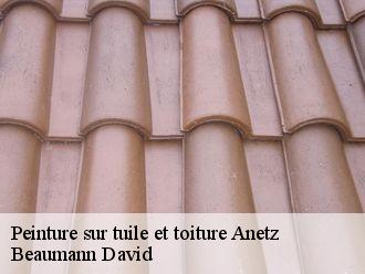 Peinture sur tuile et toiture  anetz-44150 Beaumann David