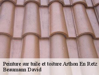 Peinture sur tuile et toiture  arthon-en-retz-44320 Beaumann David