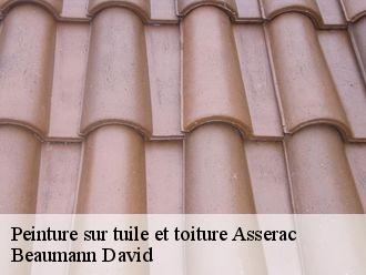 Peinture sur tuile et toiture  asserac-44410 Beaumann David