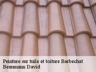 Peinture sur tuile et toiture  barbechat-44450 Beaumann David