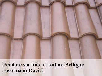 Peinture sur tuile et toiture  belligne-44370 Beaumann David