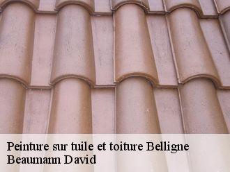 Peinture sur tuile et toiture belligne-44370 Beaumann David