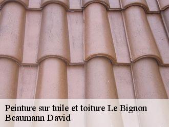 Peinture sur tuile et toiture  le-bignon-44140 Beaumann David