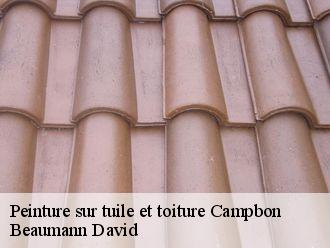 Peinture sur tuile et toiture  campbon-44750 Beaumann David