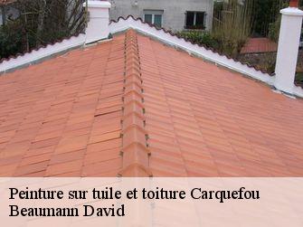 Peinture sur tuile et toiture 44470