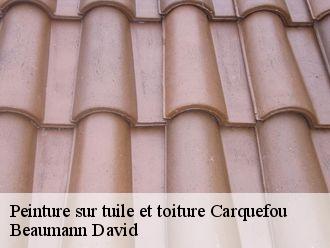 Peinture sur tuile et toiture carquefou-44470 Beaumann David