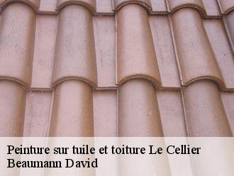 Peinture sur tuile et toiture  le-cellier-44850 Beaumann David