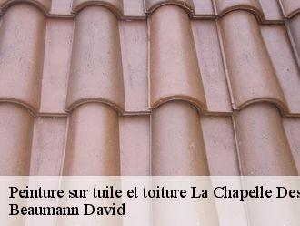 Peinture sur tuile et toiture  la-chapelle-des-marais-44410 Beaumann David