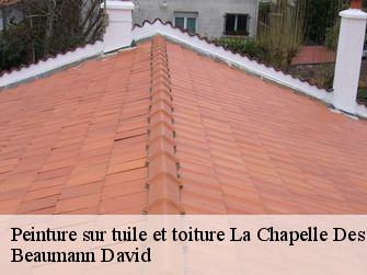 Peinture sur tuile et toiture 44410