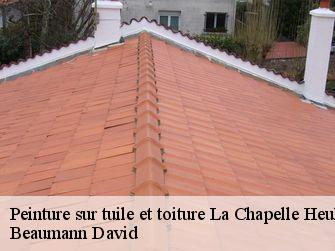 Peinture sur tuile et toiture 44330