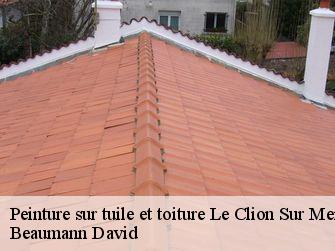 Peinture sur tuile et toiture 44210
