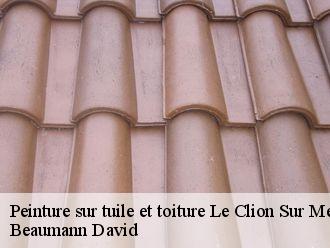 Peinture sur tuile et toiture  le-clion-sur-mer-44210 Beaumann David