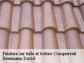 Peinture sur tuile et toiture  conquereuil-44290 Beaumann David