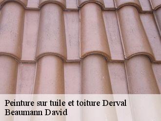 Peinture sur tuile et toiture  derval-44590 Beaumann David