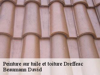 Peinture sur tuile et toiture dreffeac-44530 Beaumann David