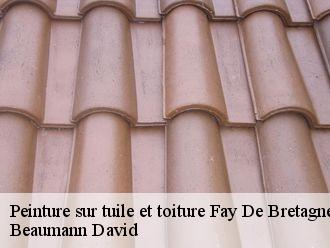 Peinture sur tuile et toiture  fay-de-bretagne-44130 Beaumann David