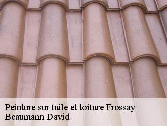 Peinture sur tuile et toiture  frossay-44320 Beaumann David
