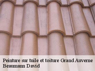 Peinture sur tuile et toiture  grand-auverne-44520 Beaumann David