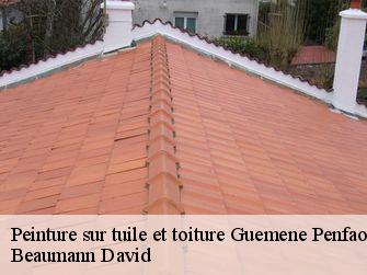 Peinture sur tuile et toiture 44290