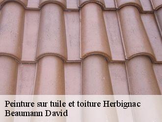 Peinture sur tuile et toiture  herbignac-44410 Beaumann David