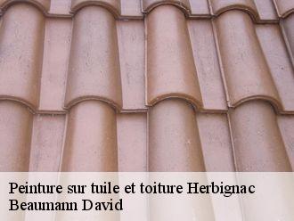 Peinture sur tuile et toiture herbignac-44410 Beaumann David