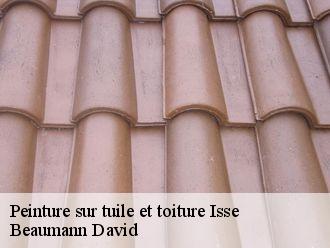 Peinture sur tuile et toiture  isse-44520 Beaumann David