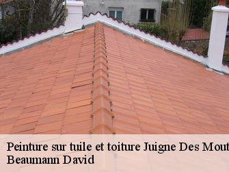Peinture sur tuile et toiture 44670