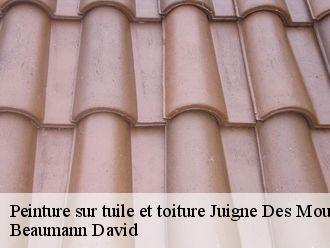 Peinture sur tuile et toiture  juigne-des-moutiers-44670 Beaumann David
