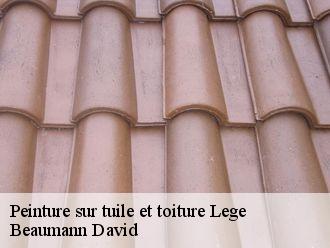 Peinture sur tuile et toiture  lege-44650 Beaumann David