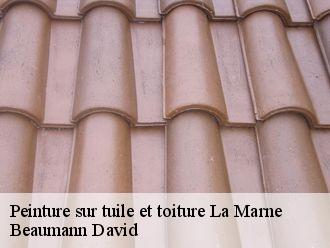 Peinture sur tuile et toiture  la-marne-44270 Beaumann David